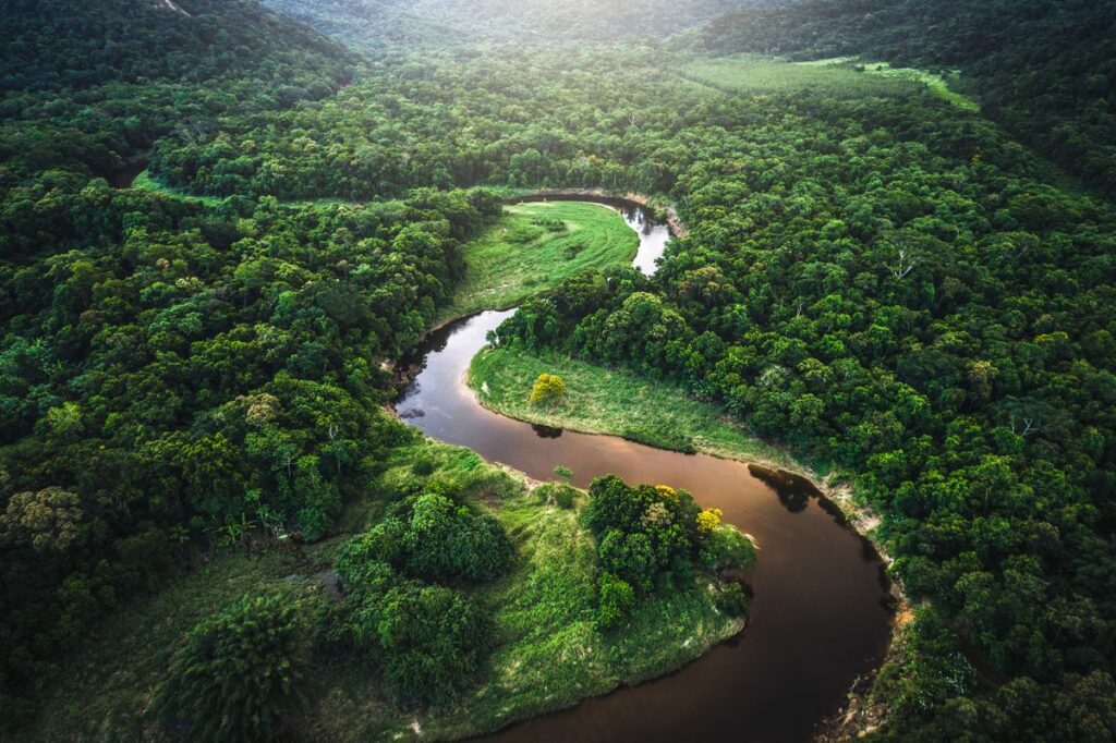 The Amazon Rainforest Adventure
